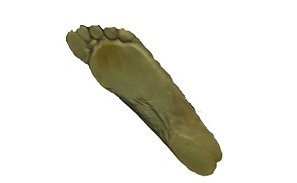Digitalización 3D de distintas partes del cuerpo., pies
