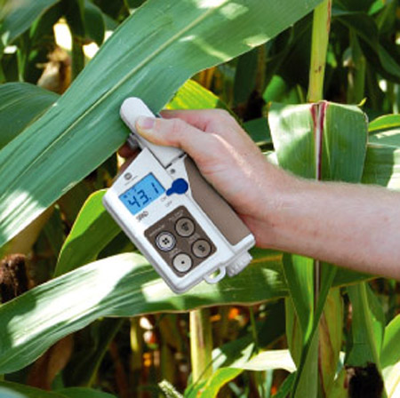 Medir la clorofila es un indicador de la salud de las plantas. 