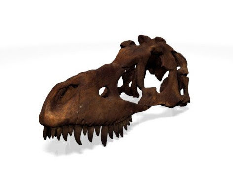 Escanear un dinosaurio en 3D - Escáneres 3D Artec EspañaAQinstruments